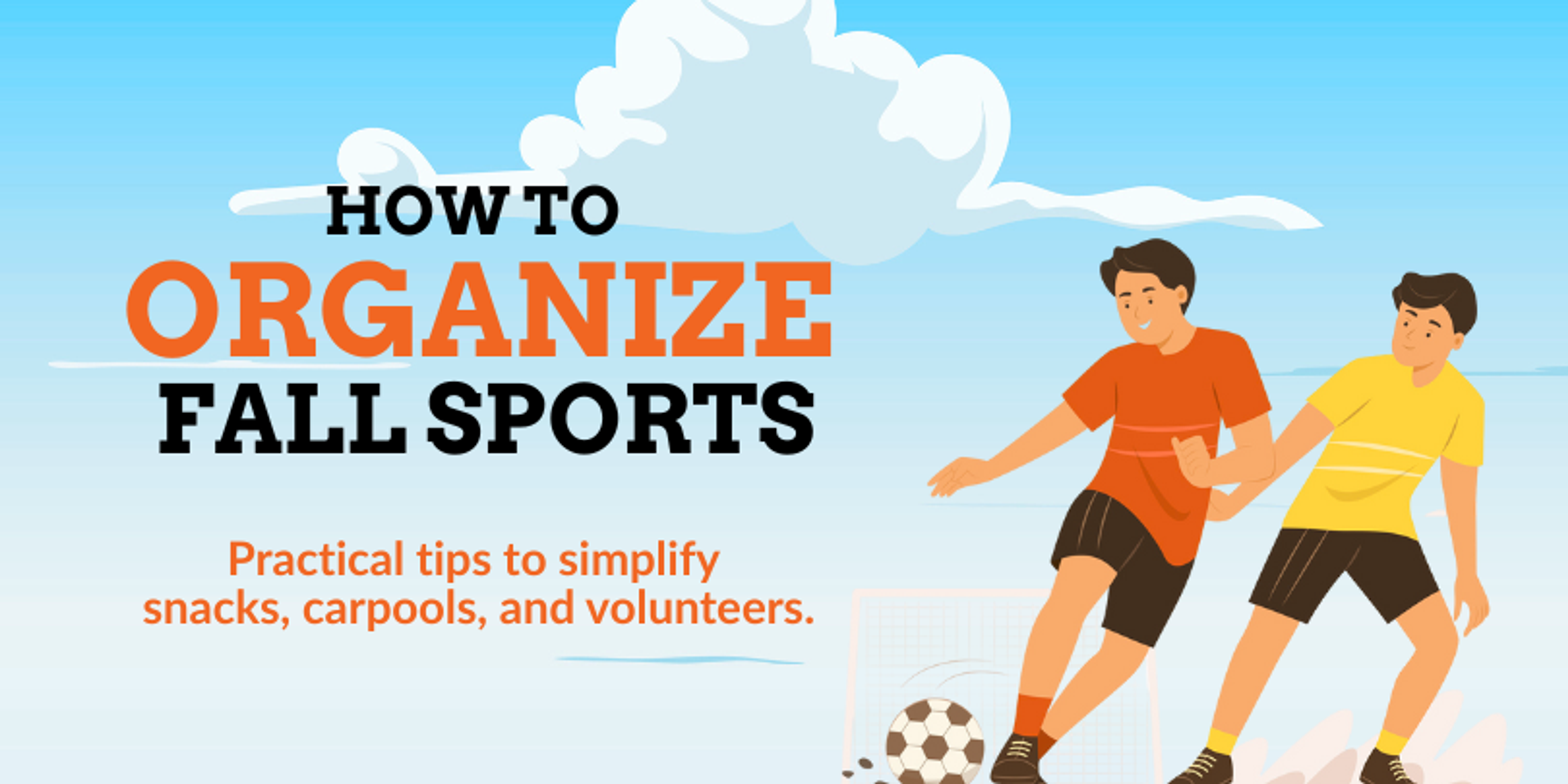 How to organize school sports