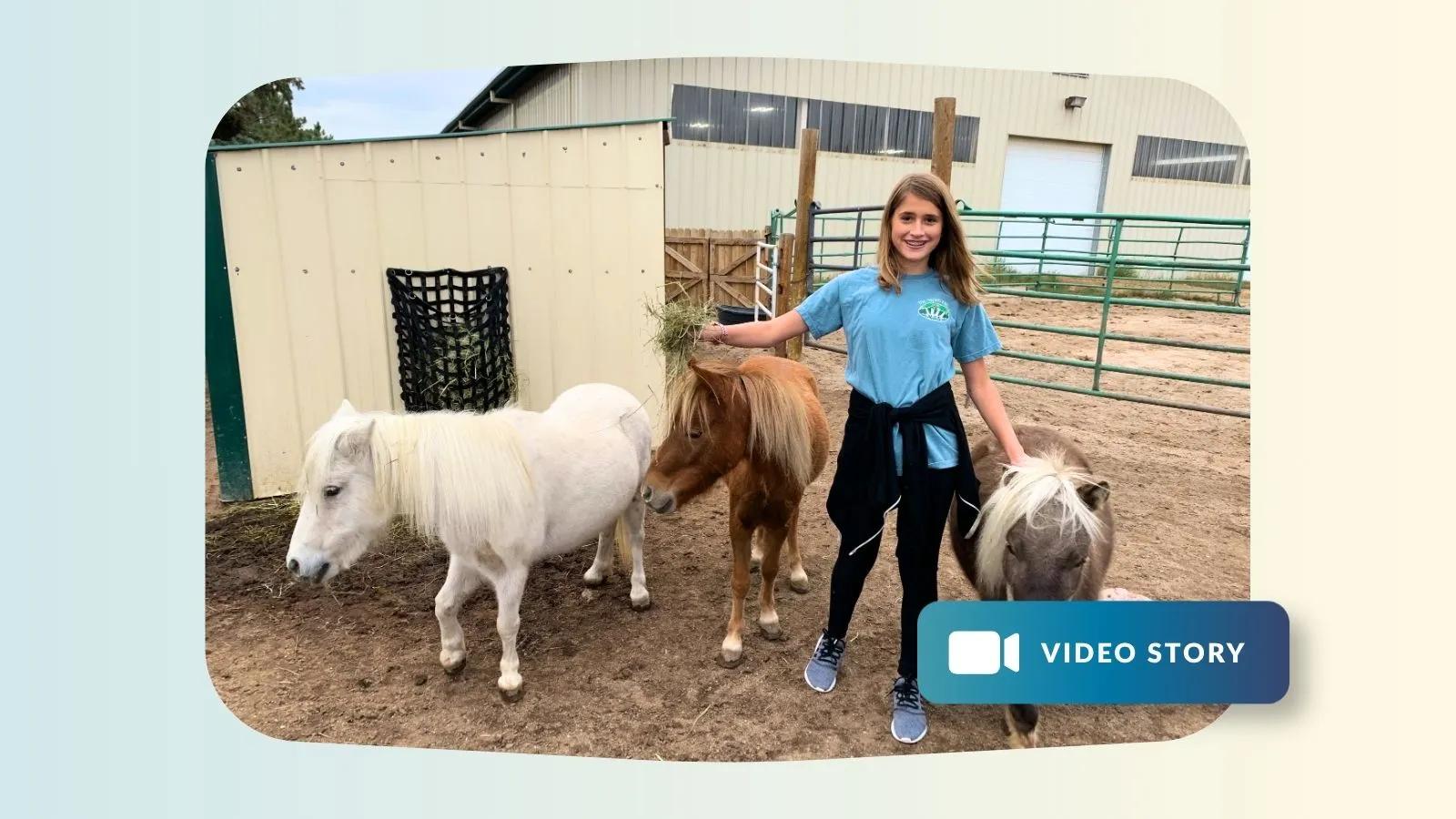 volunteer with horses at the Aspen Effect