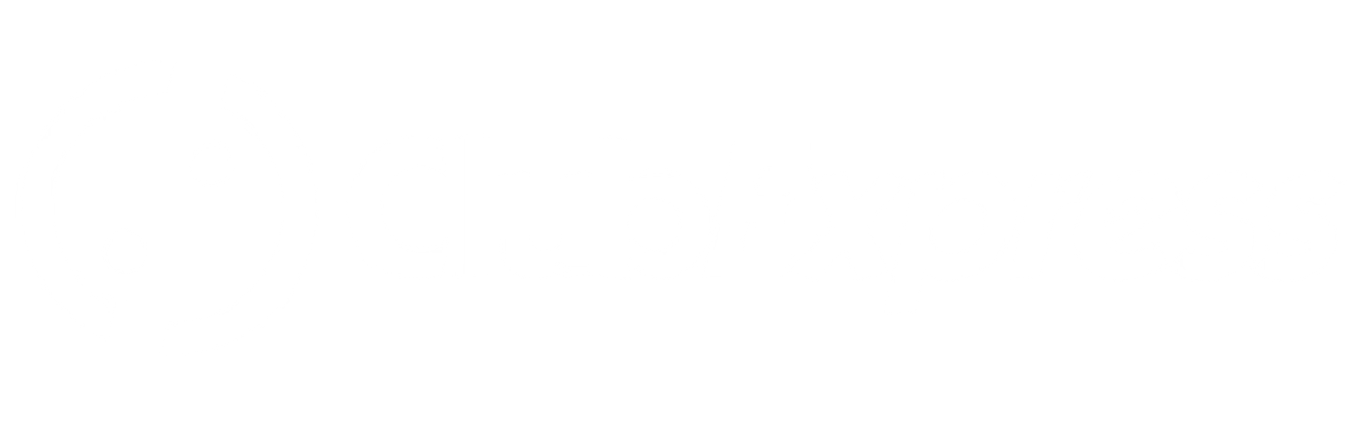ClubExpress Logo