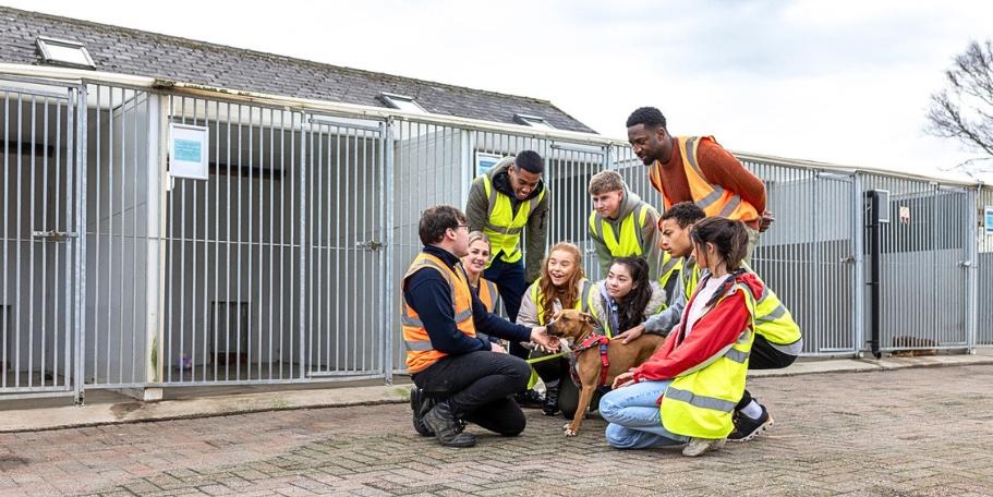 animal shelter volunteers