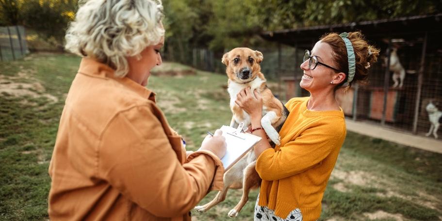 animal shelter adoption