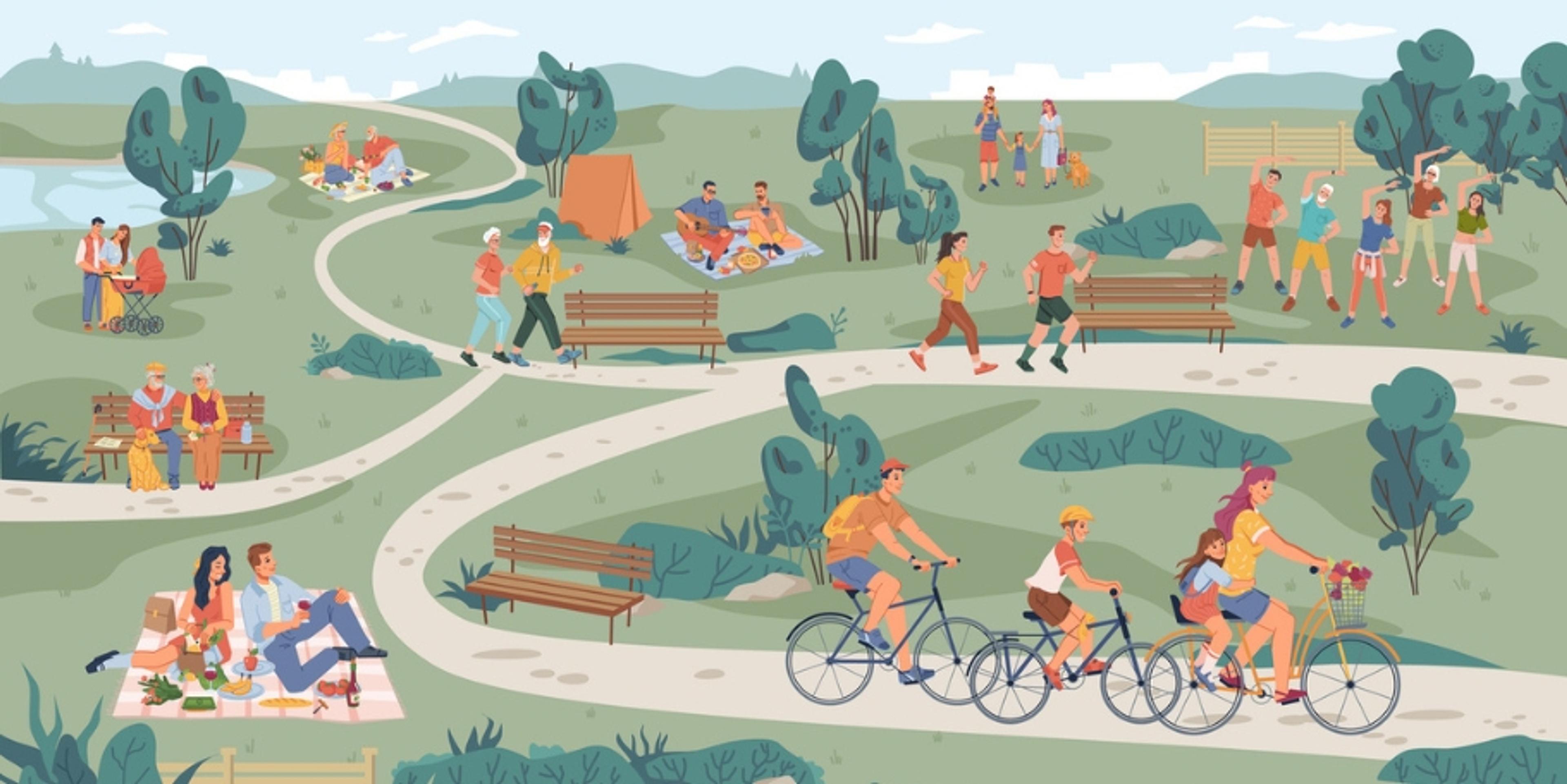 people doing activities at a park