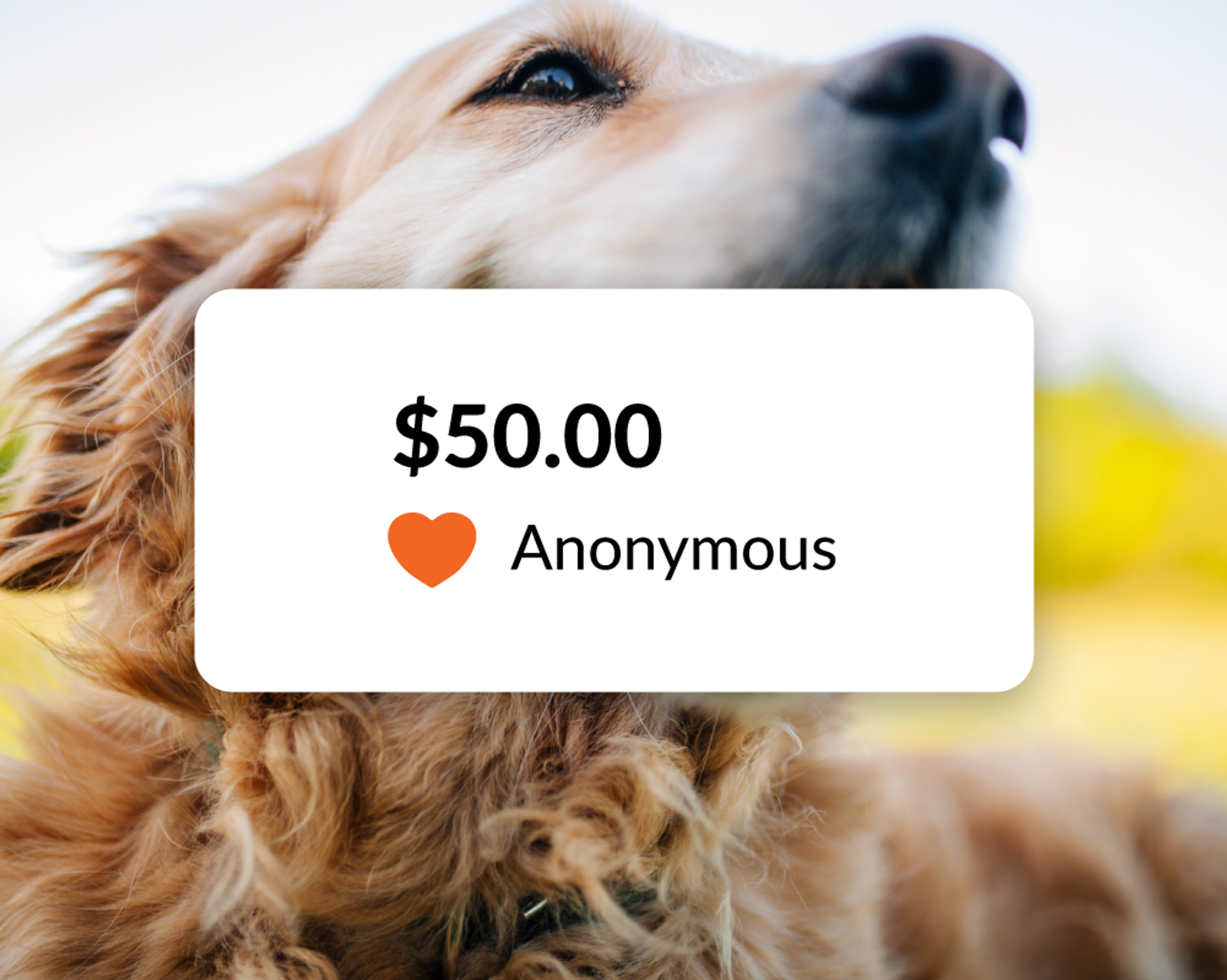 Signupgenius_fundraisers