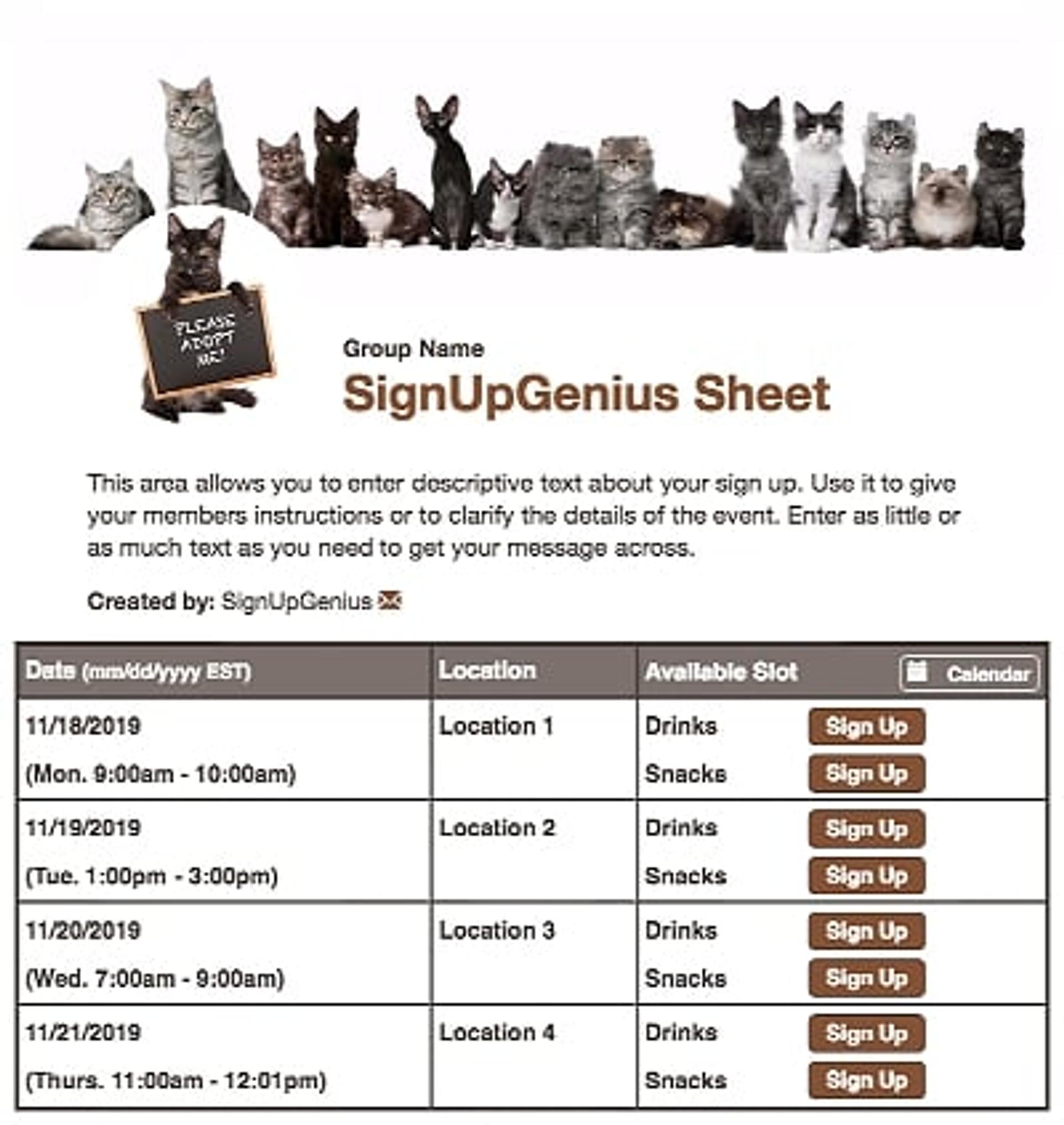 Animal Rescue Cats