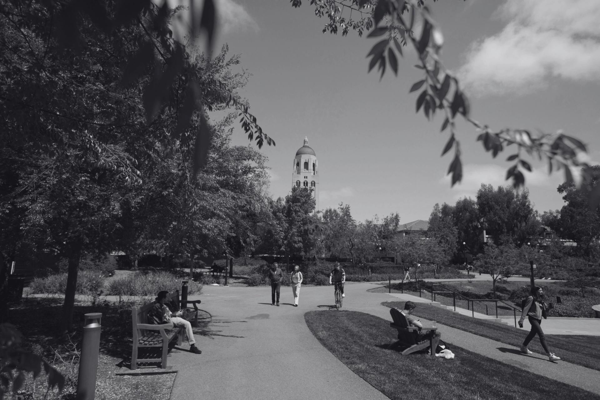Stanford university