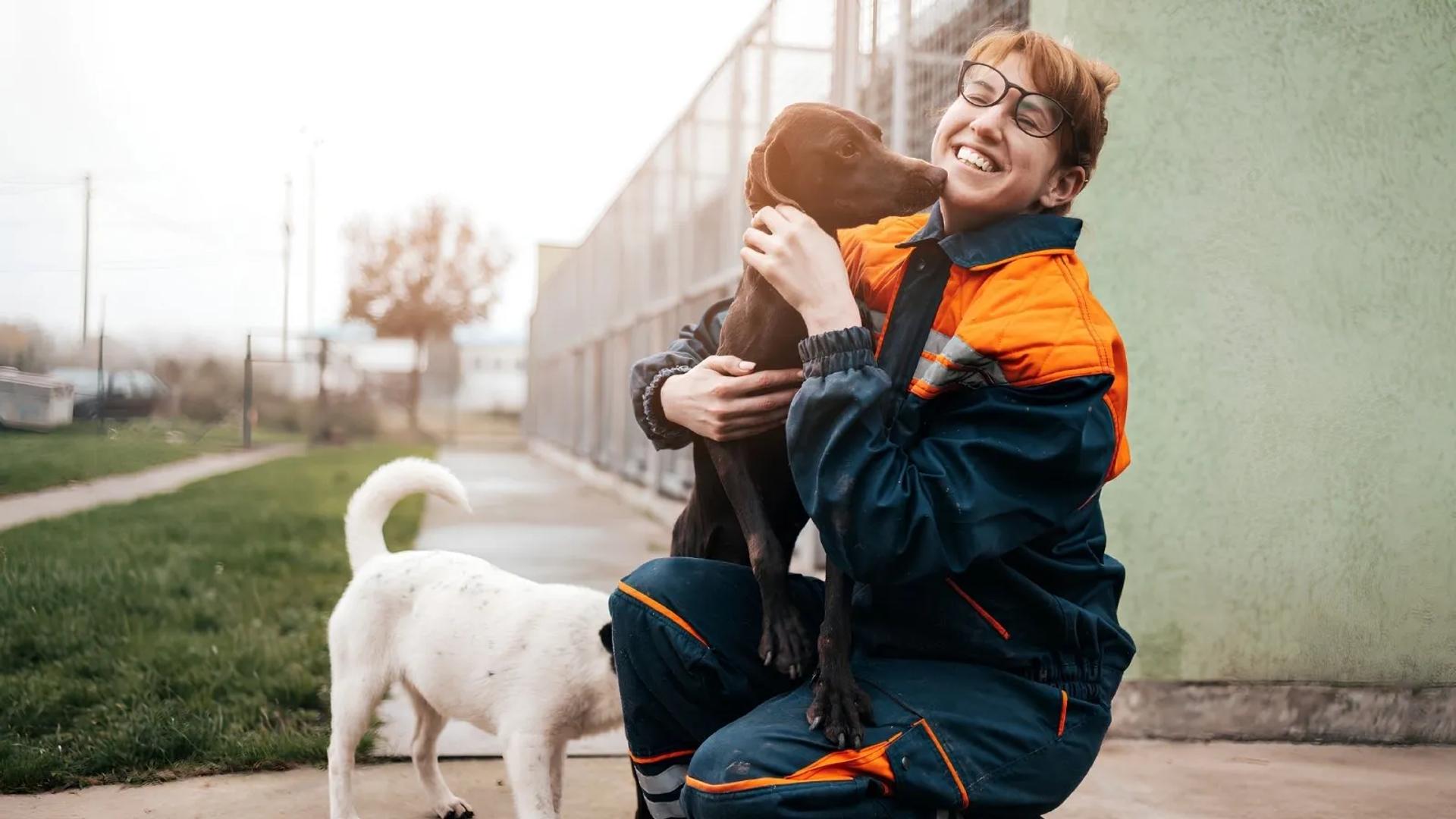 Animal-shelter-volunteer