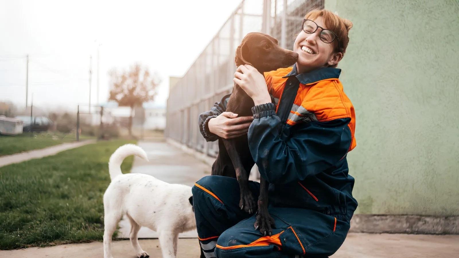 Animal-shelter-volunteer