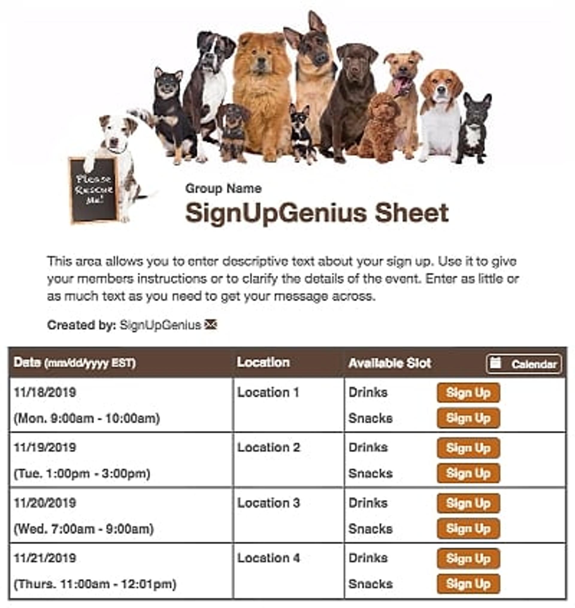 Animal Rescue Dogs