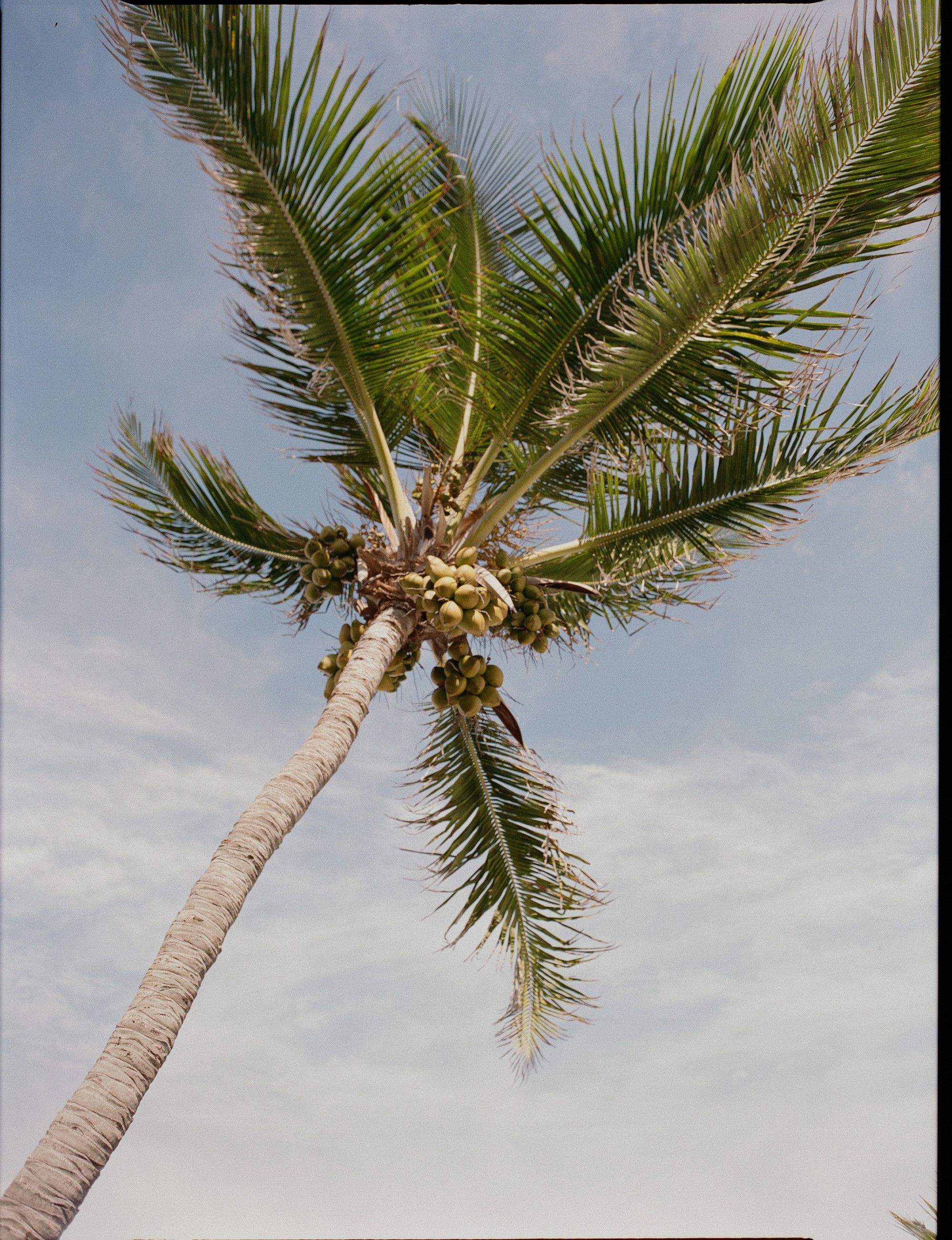 On Portraits, Gatherings, and In-Between Moments, Inspiration