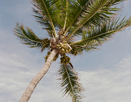 The Bahamas, Between Shoots, Travel