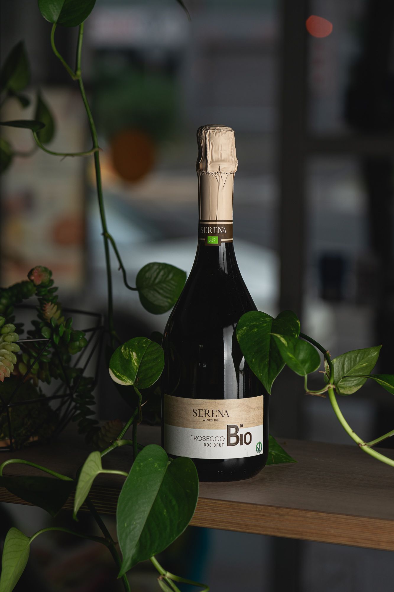 Доменико Коррадино