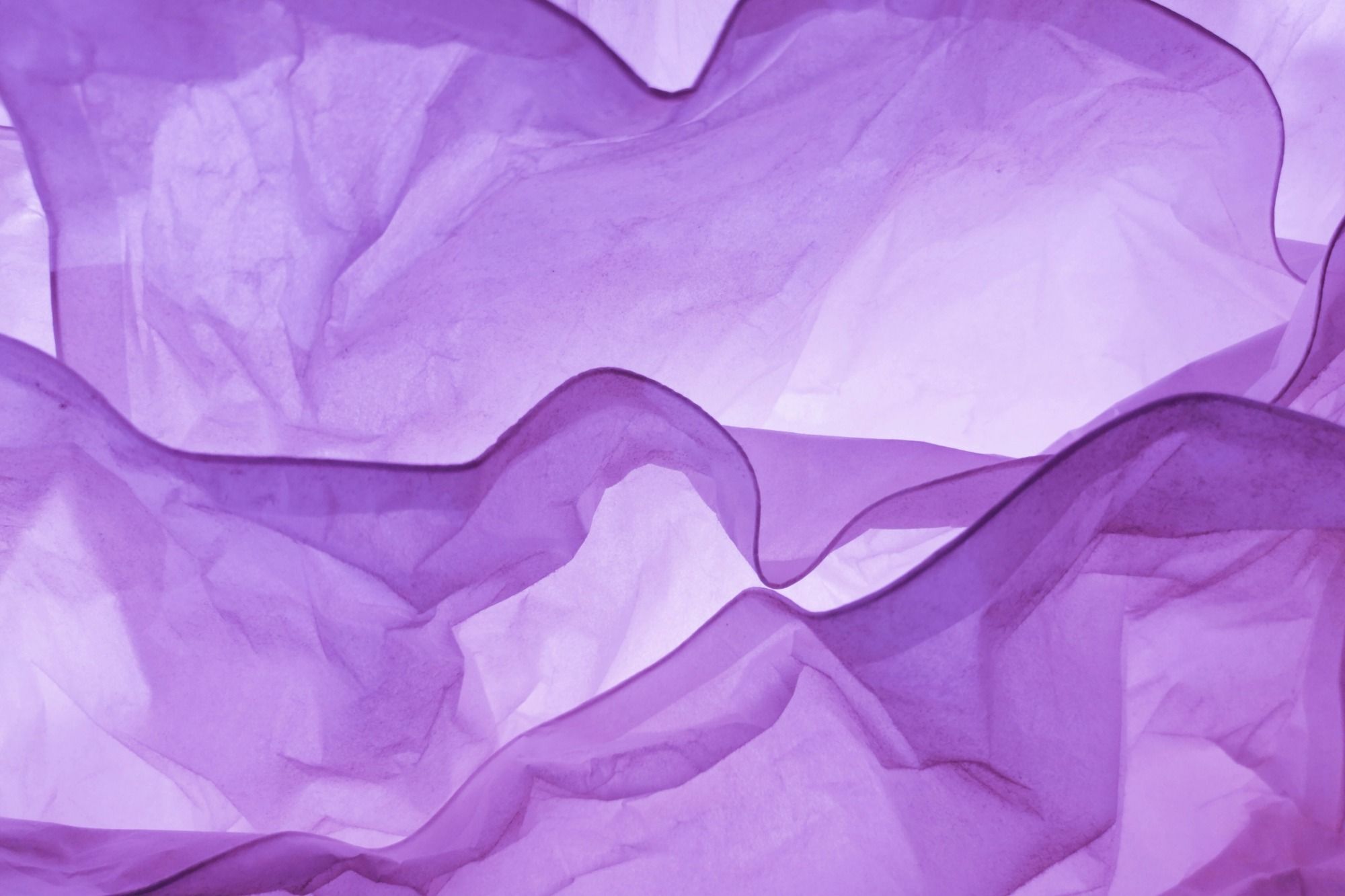 Abstract backlit folds of purple tissue paper