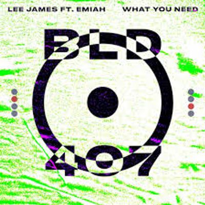 What You Need (feat EMIAH) 