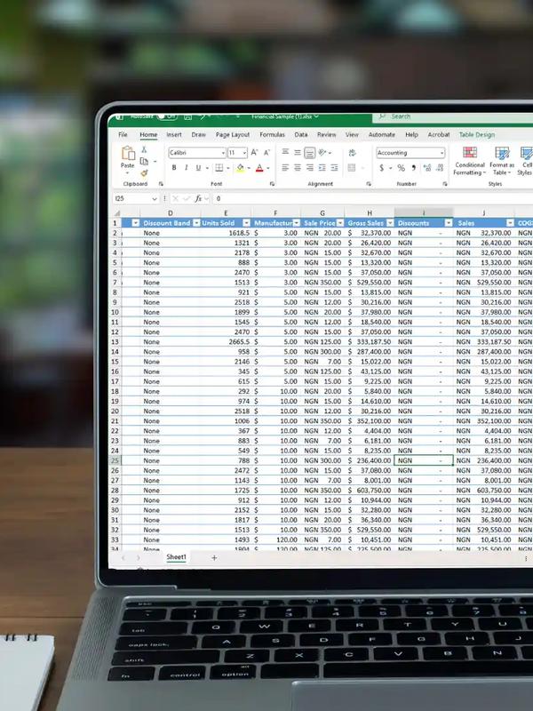 Excel Data Visualization Spreedsheets