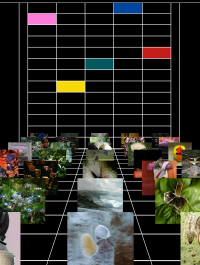 The Next Biennial Should Be Curated by a Machine