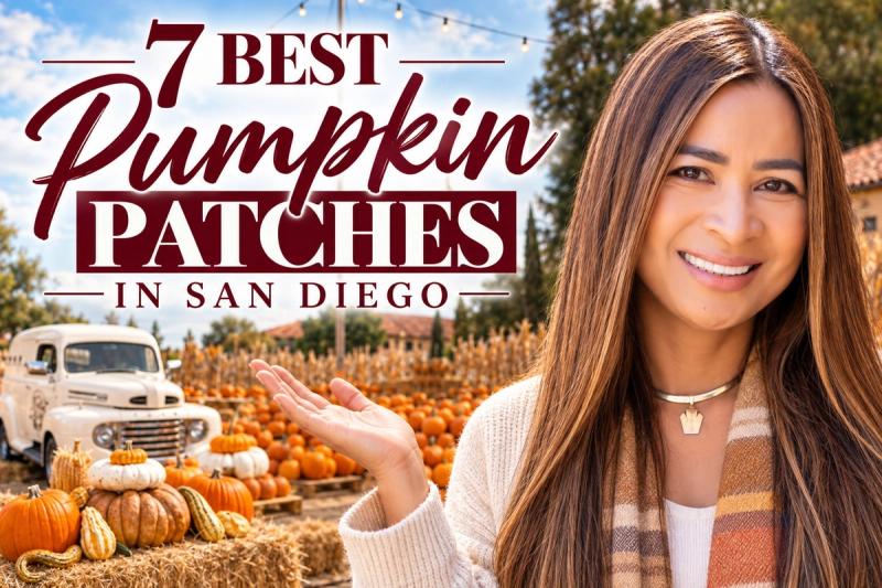 7 Best Pumpkin Patches in San Diego: Admission, Corn Mazes, and Accessibility and Layout by Location