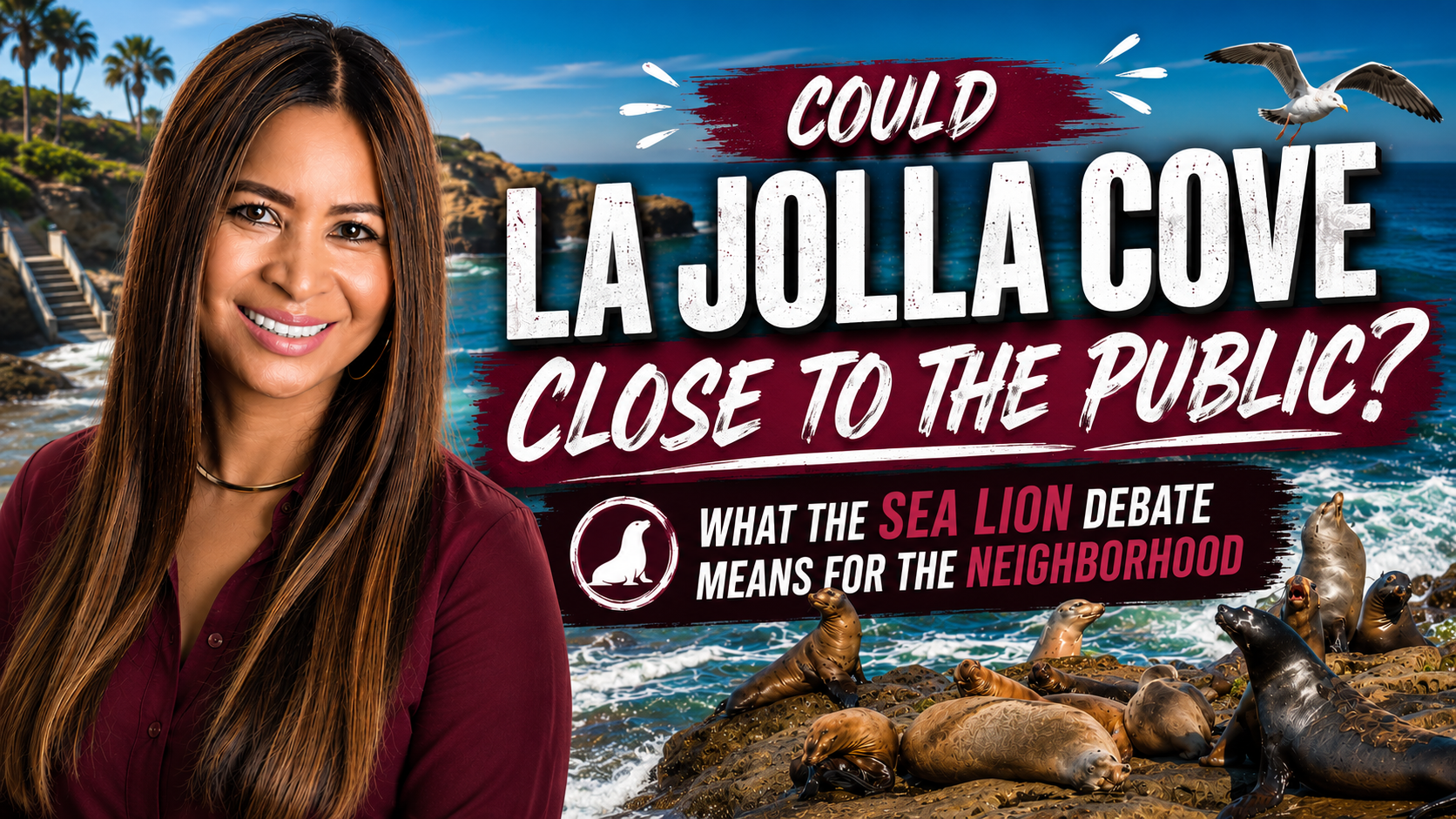 Could La Jolla Cove Close to the Public? What the Sea Lion Debate Means for the Neighborhood