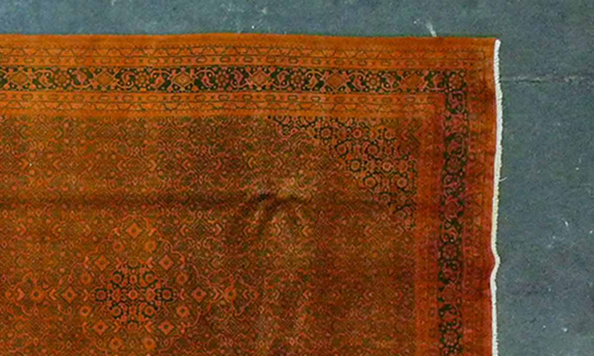 Indo (Orange) – Variante