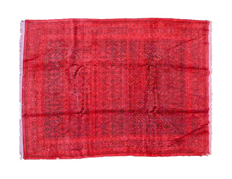 Indo (Rot)