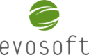 evosoft logó