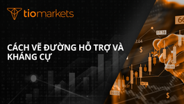 cach-ve-duong-ho-tro-va-khang-cu