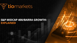 s-and-p-midcap-400-barra-growth