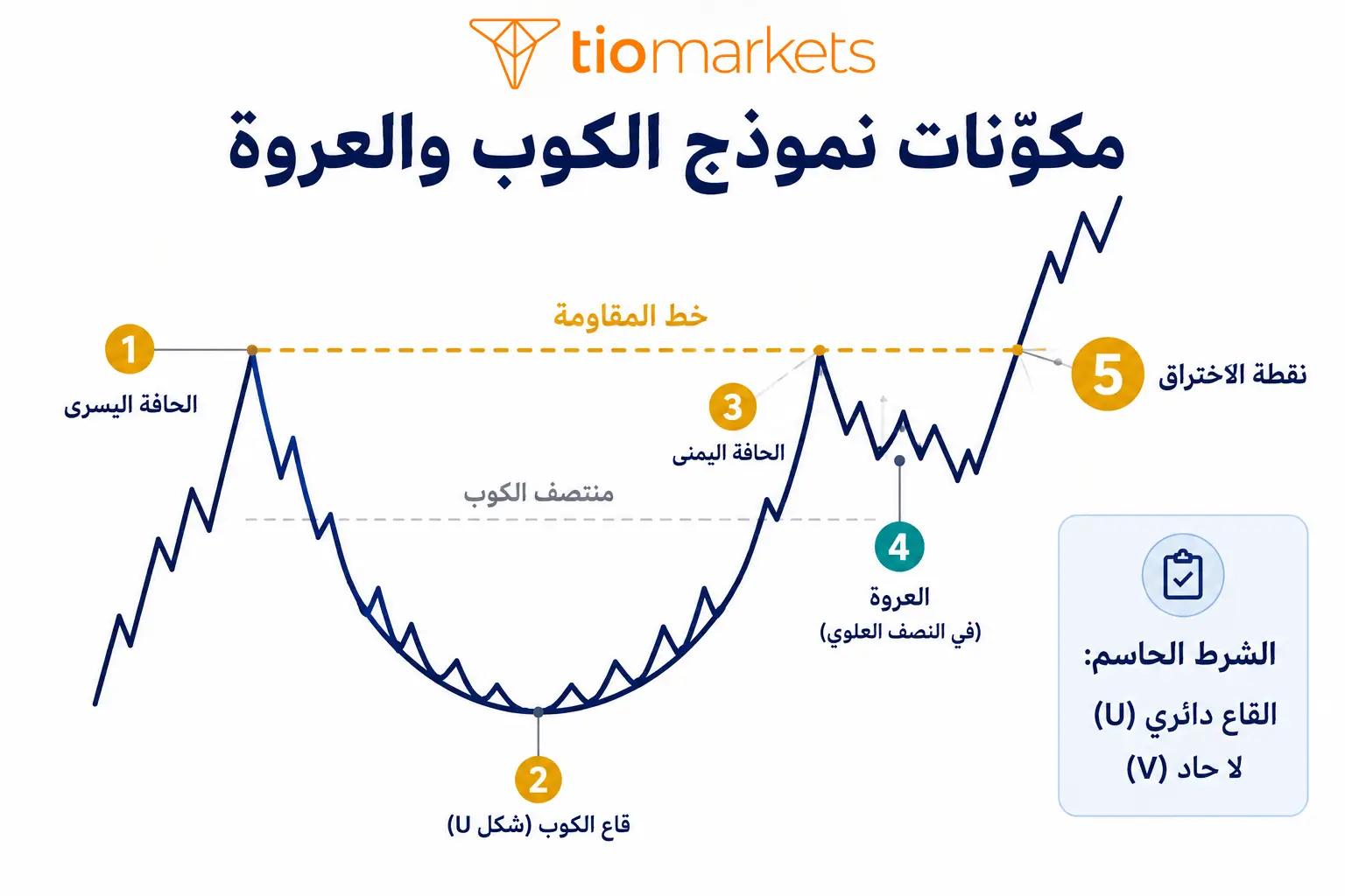تشريح نموذج الكوب والعروة الكوب على شكل U والعروة ونقطة الاختراق