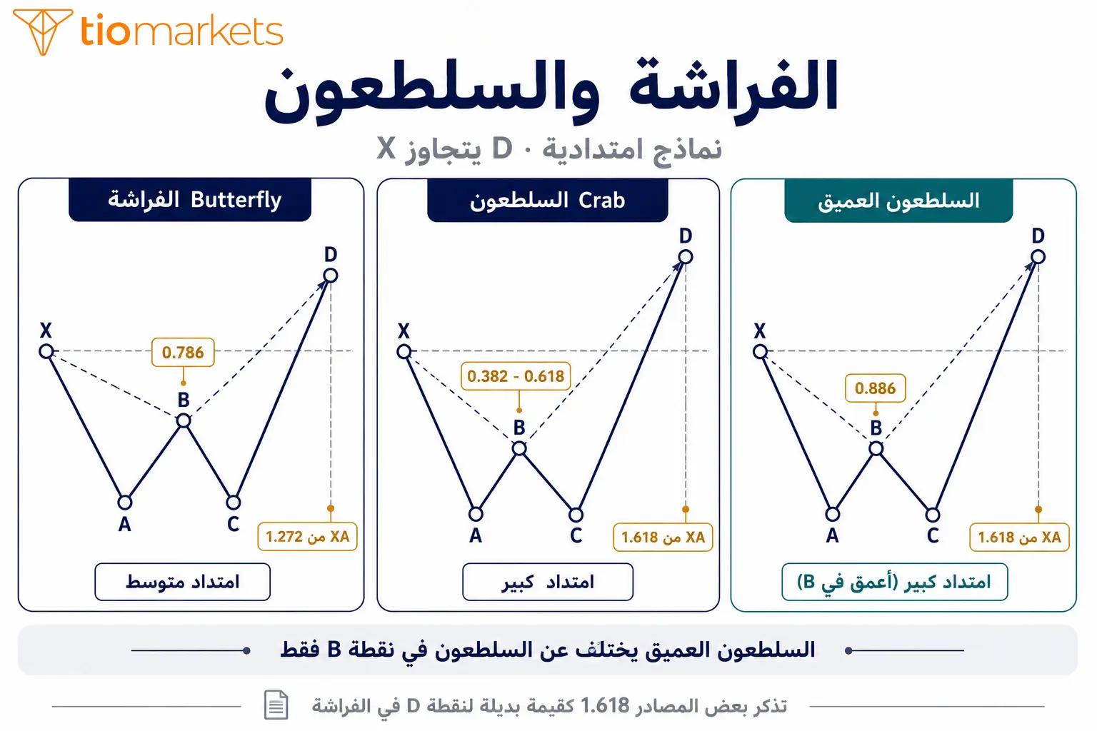 نموذج الفراشة ونموذج السلطعون والنماذج الامتدادية ونسب نقطة D