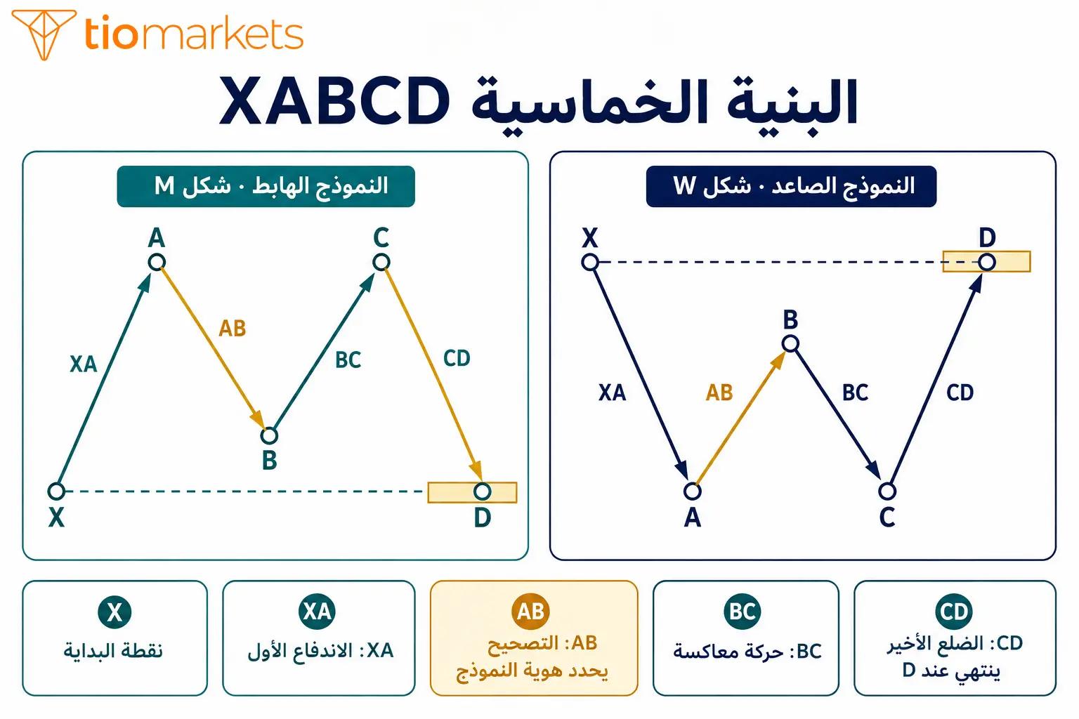 بنية XABCD في نماذج الهارمونيك وشكل M الهابط وW الصاعد ووظيفة كل نقطة