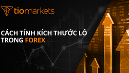 cach-tinh-kich-thuoc-lo-trong-forex