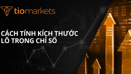 cach-tinh-kich-thuoc-lo-cho-chi-so
