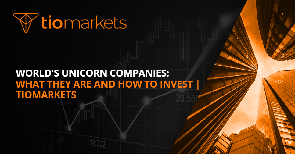 World's Unicorn Companies: What They Are And How To Invest | TIOmarkets