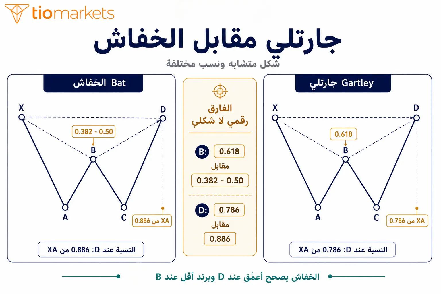 الفرق بين نموذج جارتلي ونموذج الخفاش في نسبة B ونسبة D