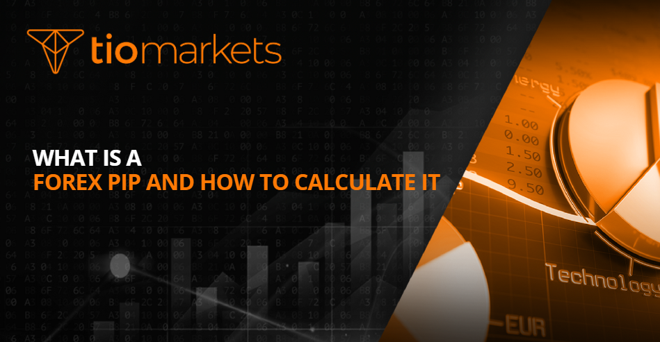 What is a Forex Pip and How to Calculate It