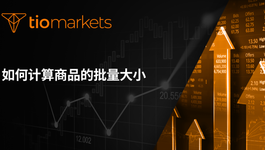 how-to-calculate-lot-size-for-commodities-zh-hans