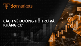 cach-ve-duong-ho-tro-va-khang-cu