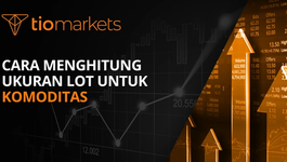 cara-menghitung-ukuran-lot-untuk-komoditas