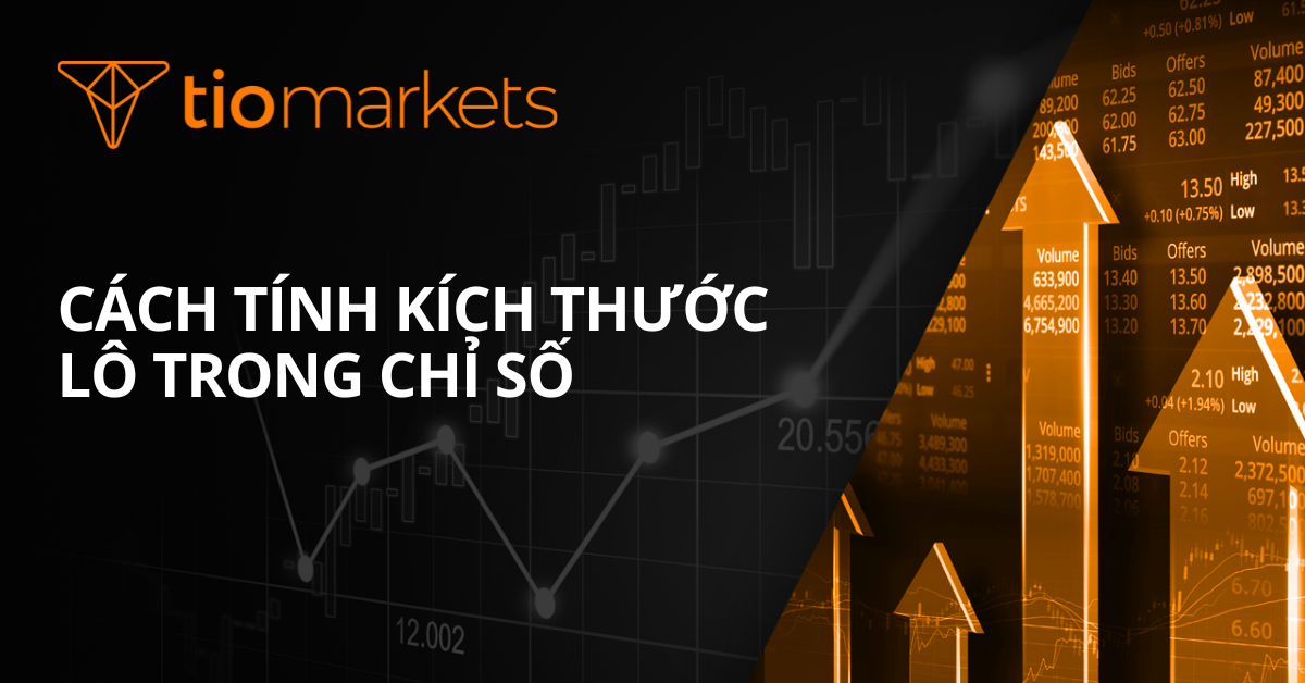 Cách Tính Kích Thước Lô Cho Chỉ Số