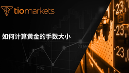 ru-he-ji-suan-huang-jin-de-jiao-yi-shou-shu