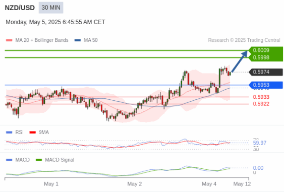 nzd usd technical view