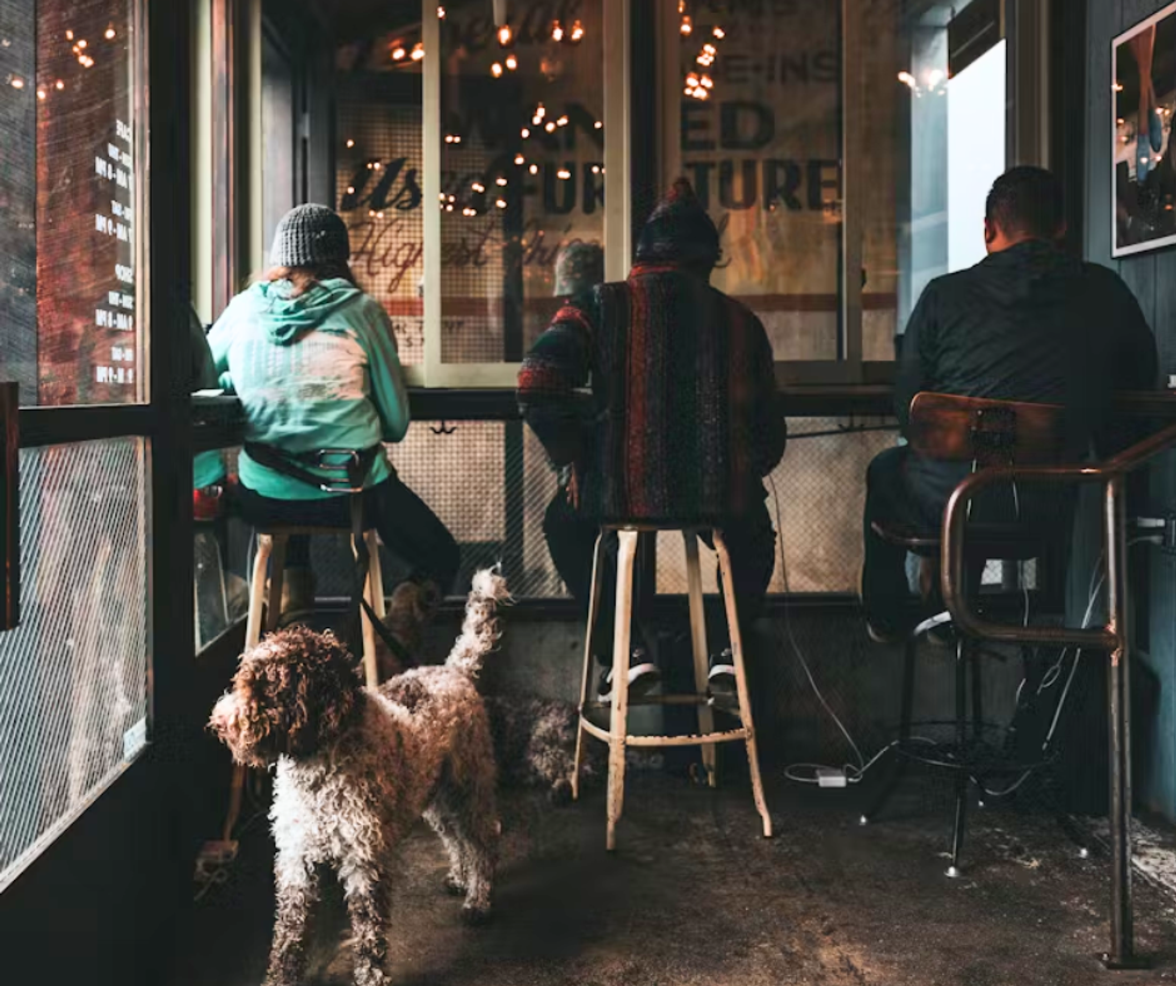 A dog looking out the door of a bar, in front of three people at a table facing away from the camera.
