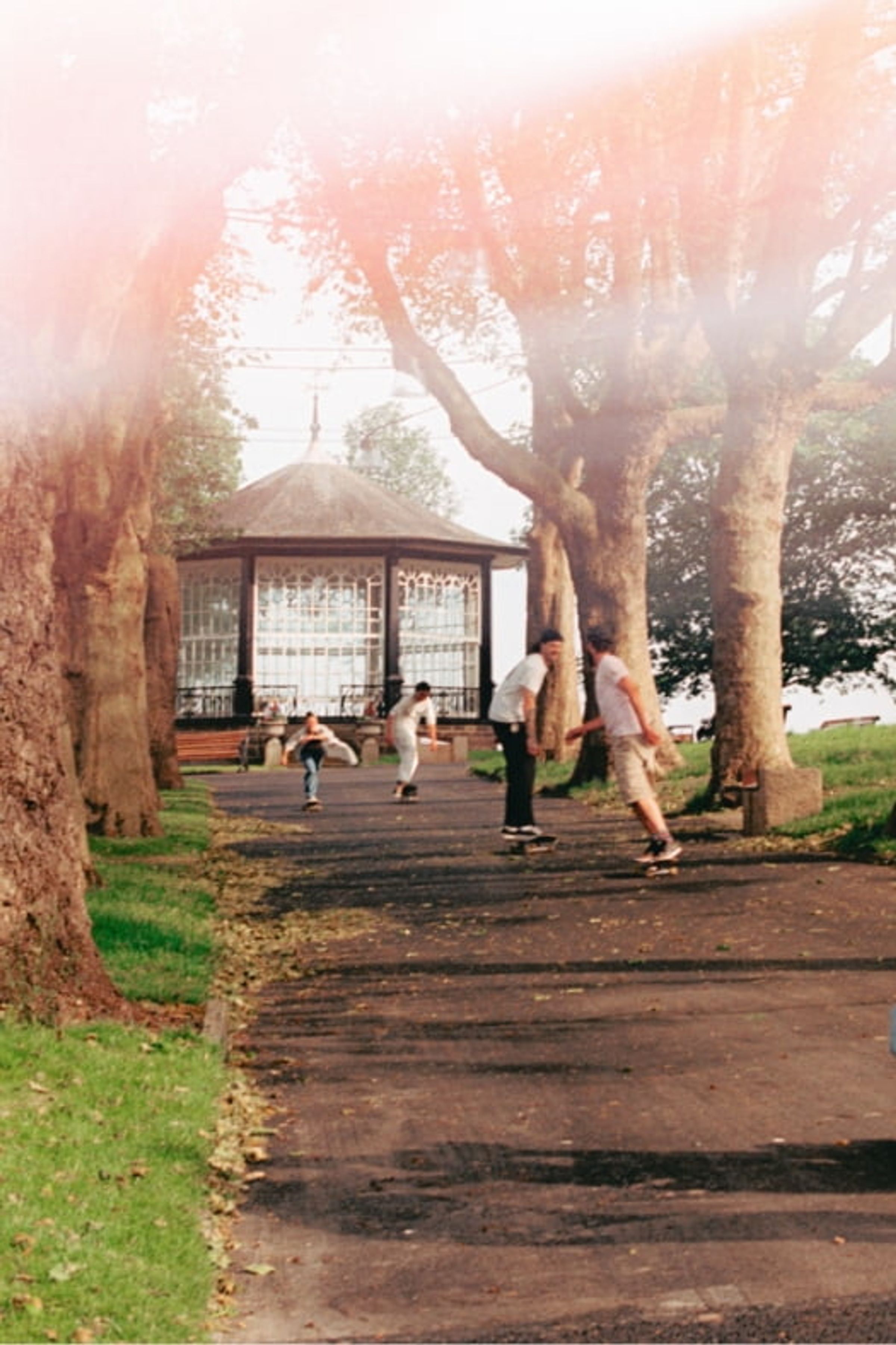 Skateboarders skating along a tree-lined path in a Nottingham park, in front of a bandstand