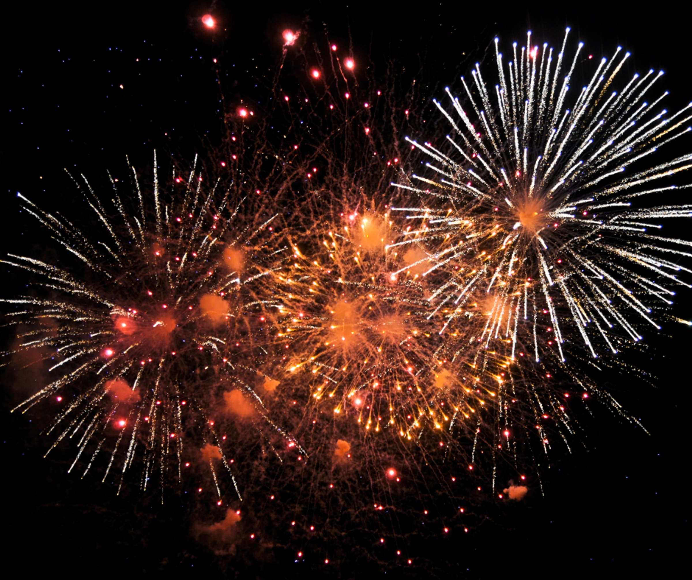 Fireworks in the night sky