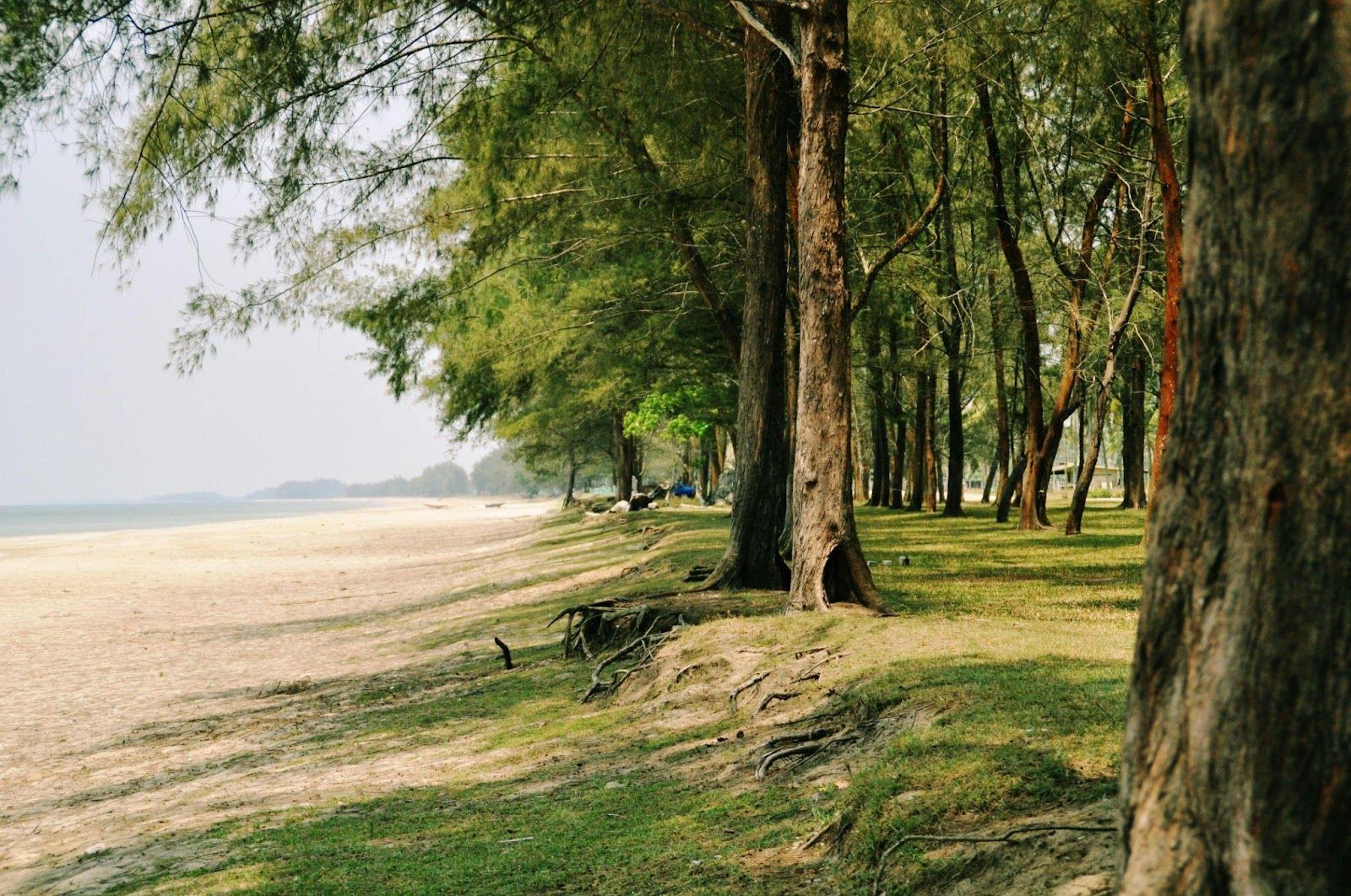 Kuantan’s Must-Try Places to Eat