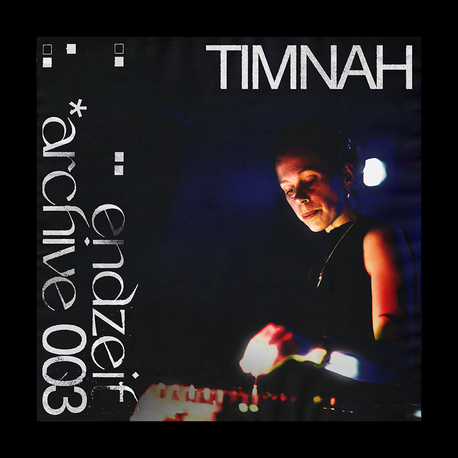 Timnah — Endzeit archive 003 cover