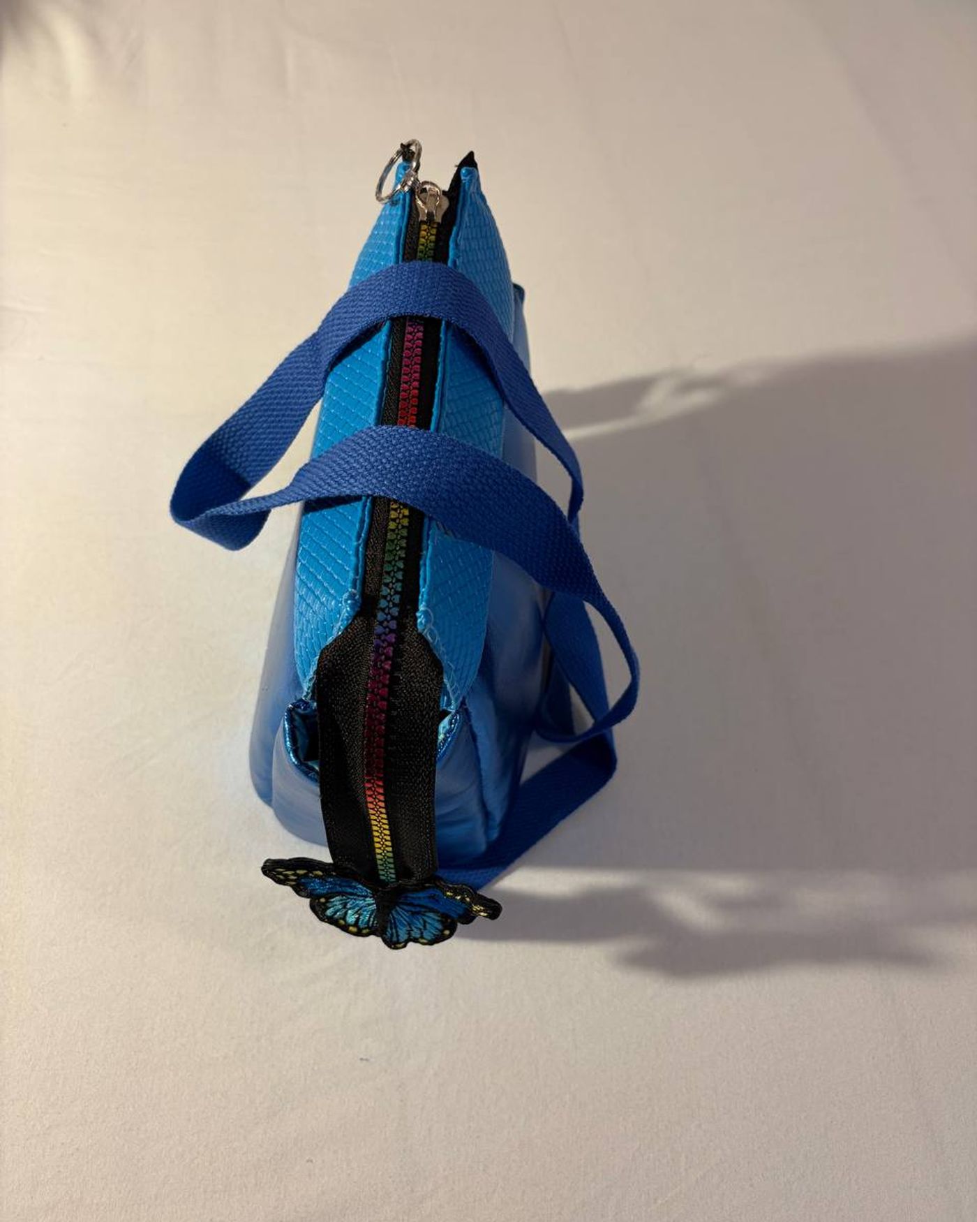 Blue Morpho — photo 6