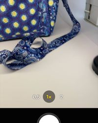 Starry Night — photo 6