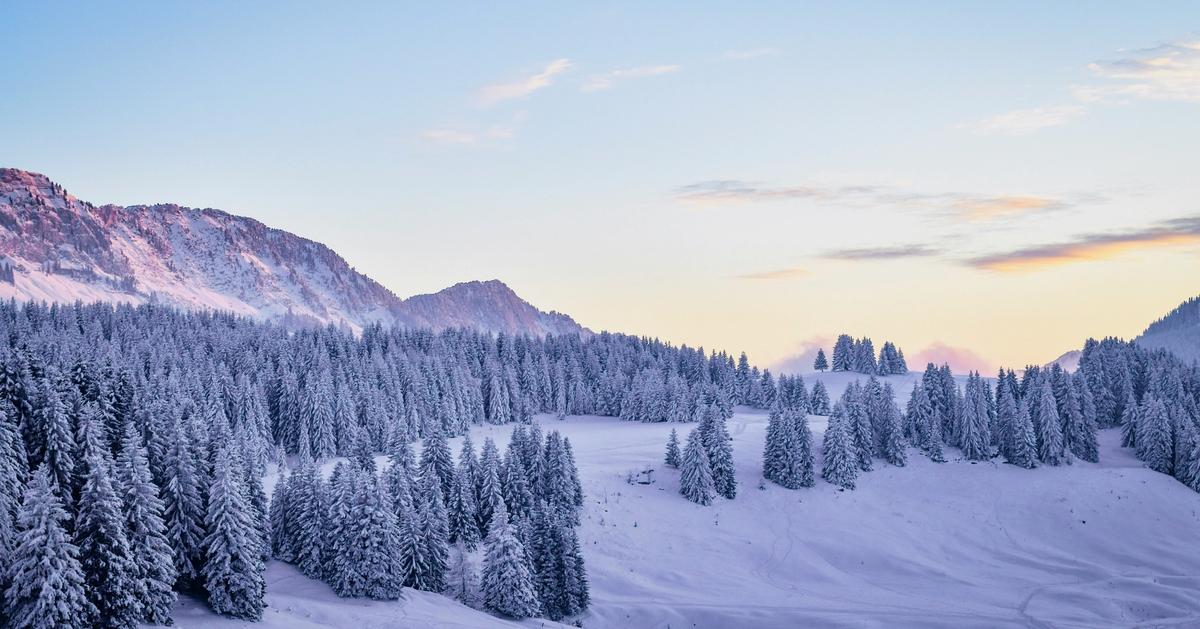 Cover Image for Does Guzzle use cURL?