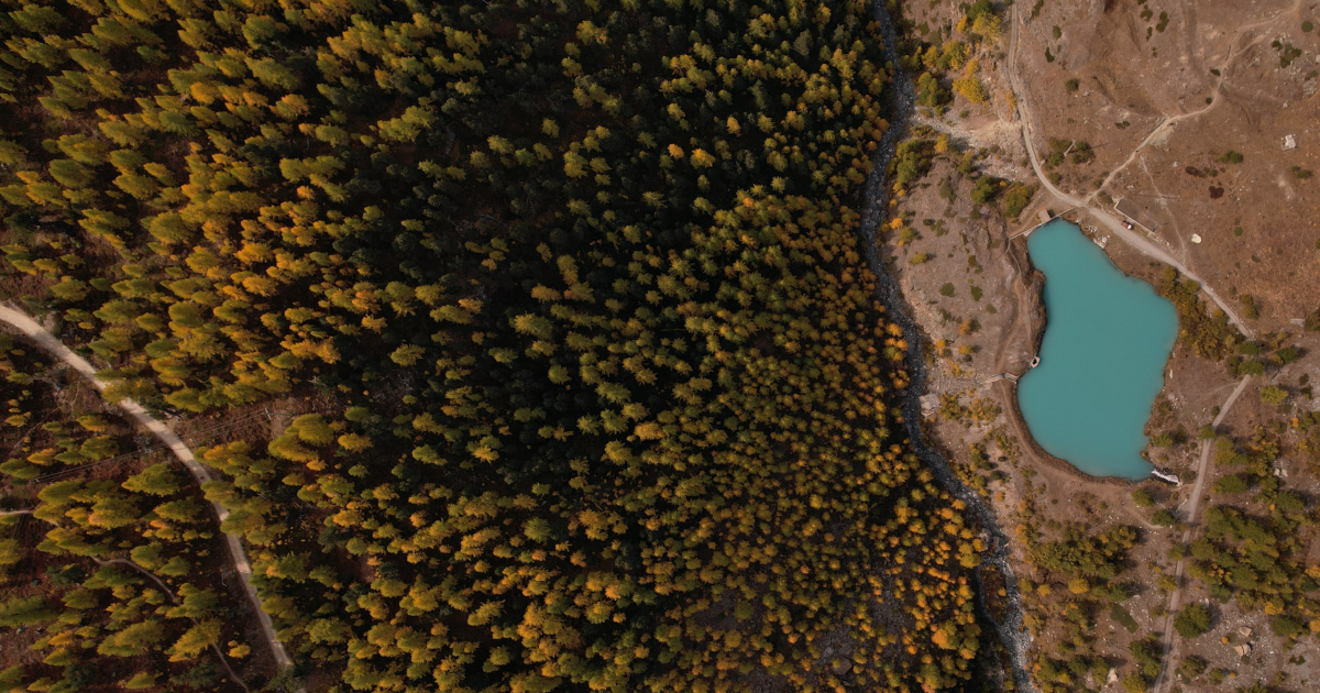 scraping backlinks with python