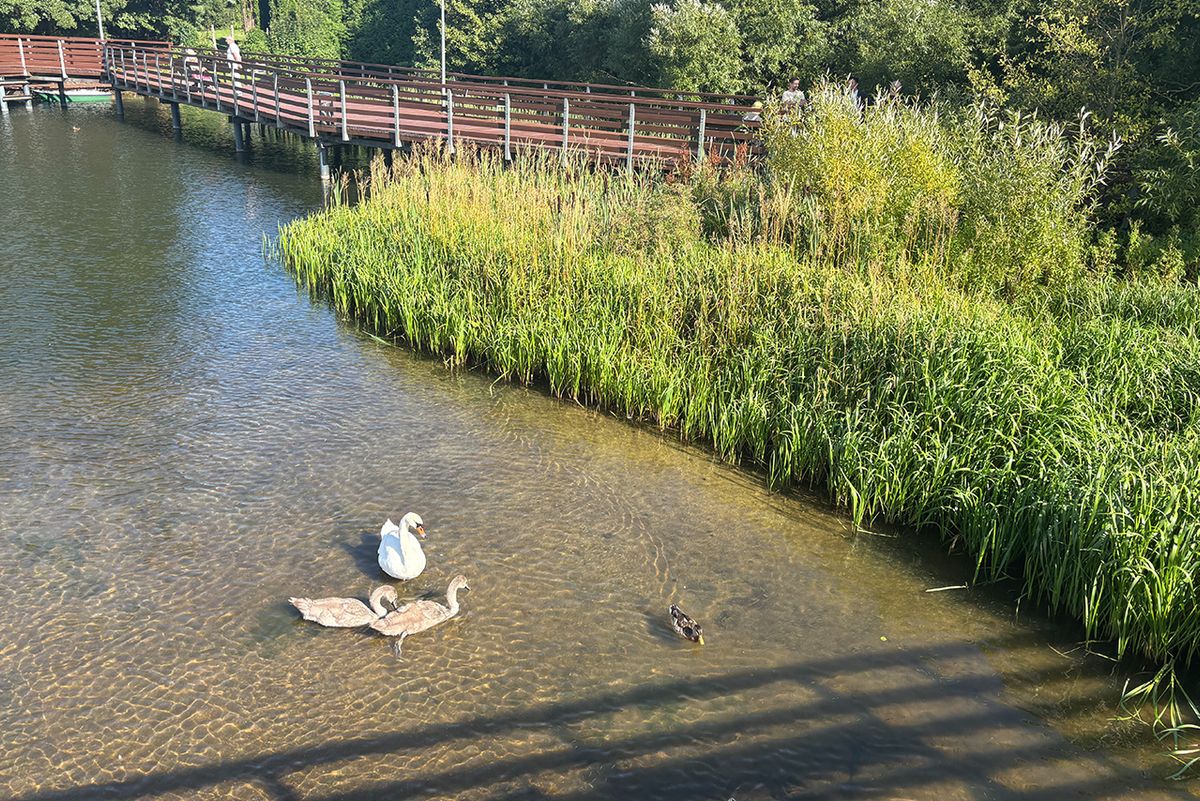 Czyste jezioro na Kaszubach - Jezioro Raduńskie Górne